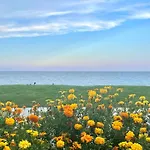 Rosamar 산 안토니 드 칼론헤