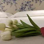 호텔 Rosamar 3*